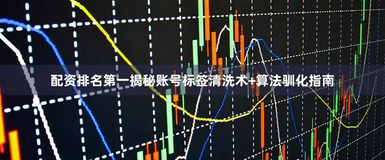 配资排名第一揭秘账号标签清洗术+算法驯化指南